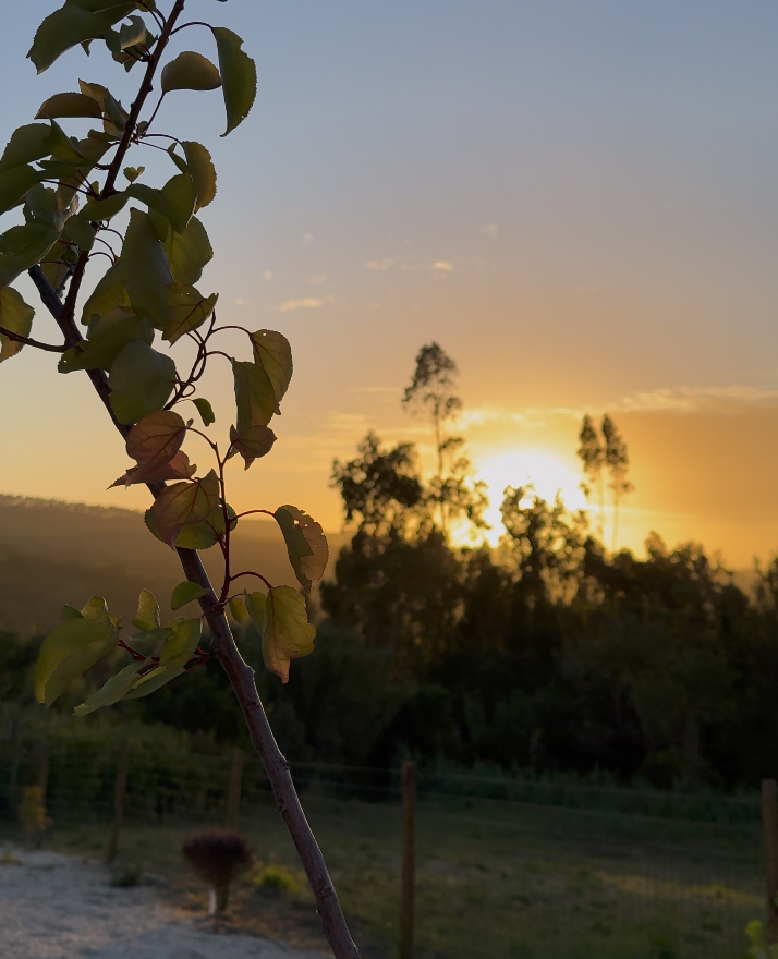 Coucher de soleil