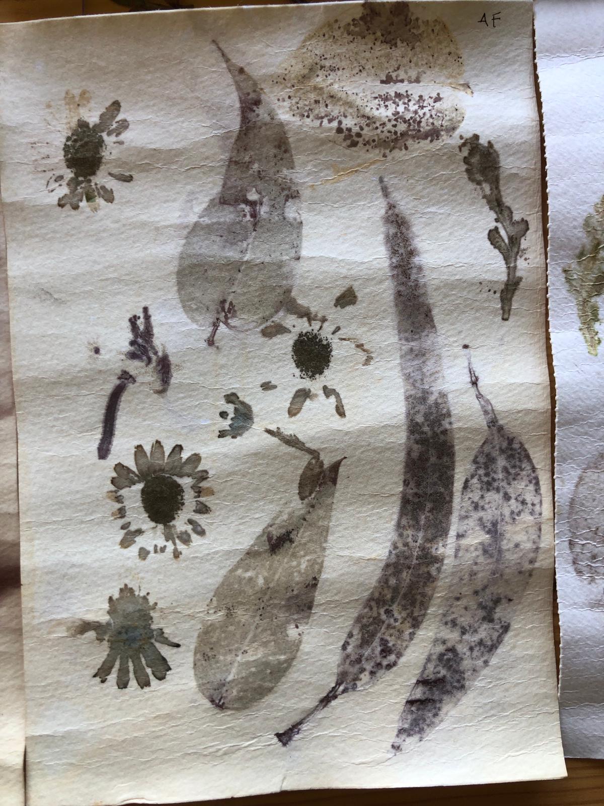 ECO PRINT