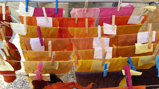 Introduction to Plant Dyeing