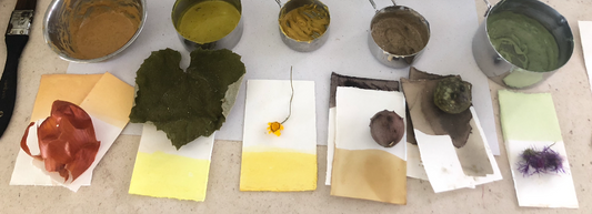 Impressão Direta com Plantas — Ecoprint — foto a confirmar