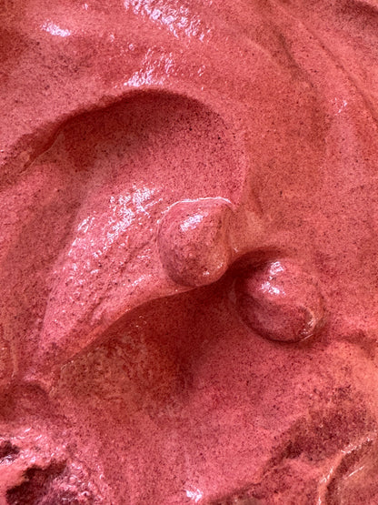 Rubia Peregrina | Rosa Coral