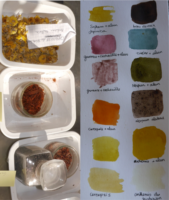 FABRICATION DE COLORANTS VÉGÉTAUX