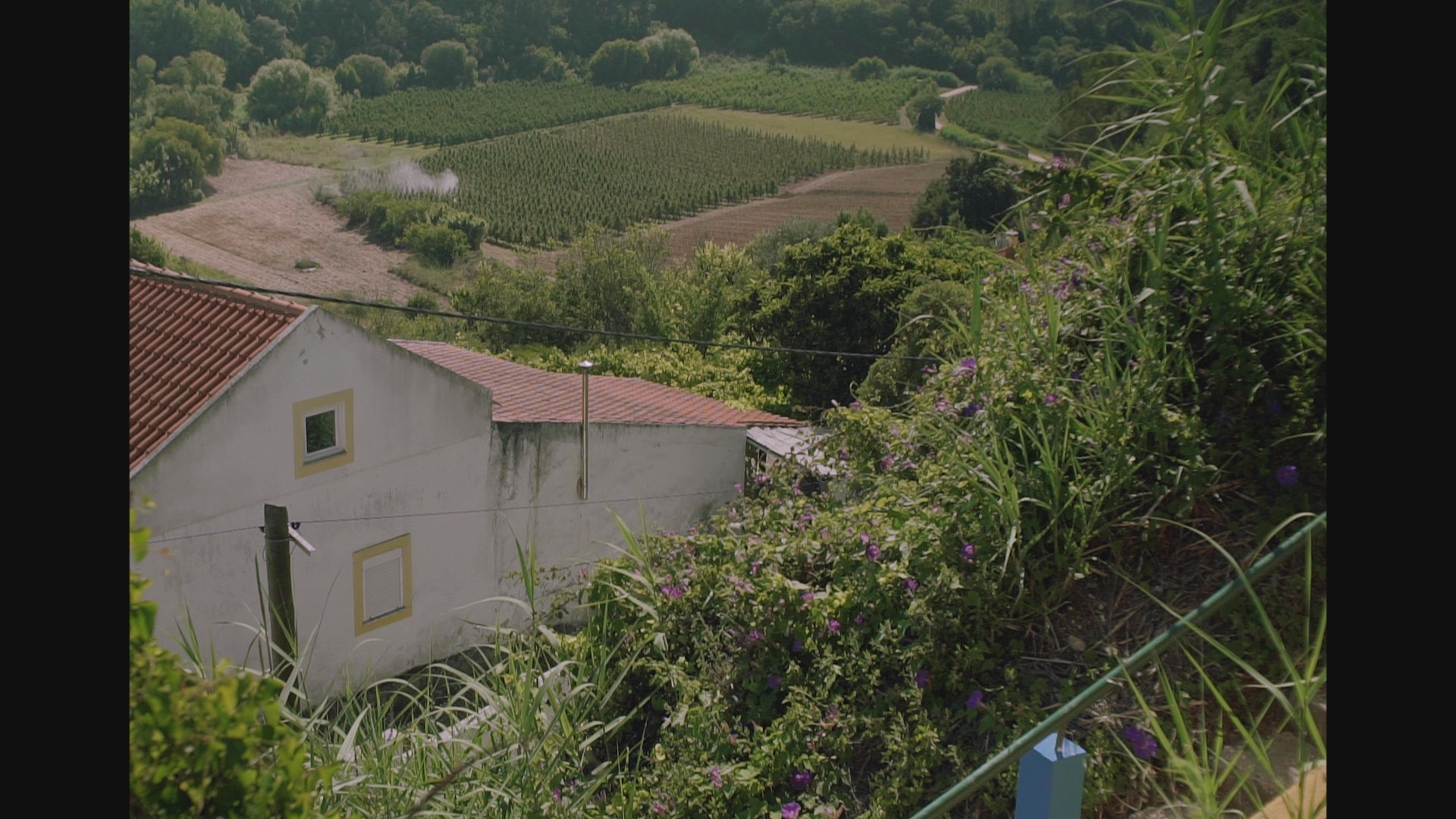 Charger la vidéo : 